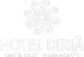 Logo of Hotel Diria Santa Cruz